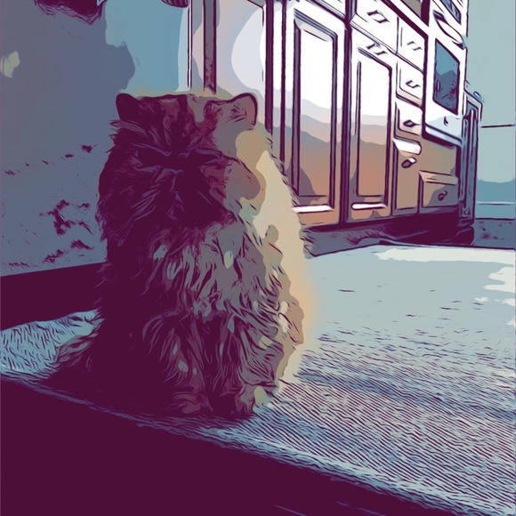 kitkatkam